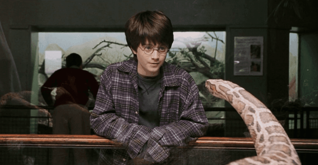 Harry Potter and Python